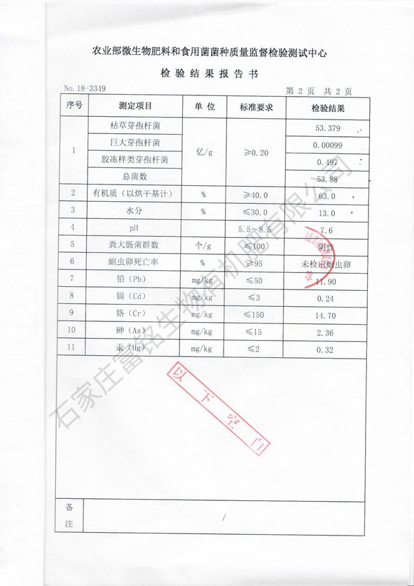 检测报告 